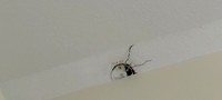 IMG20250104122912