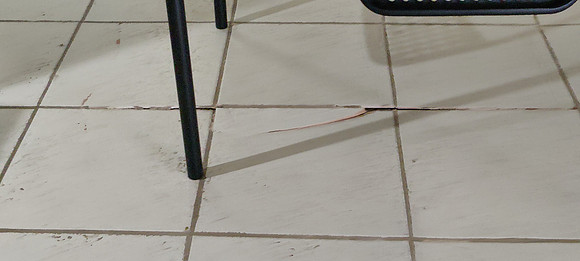 IMG20250104123746