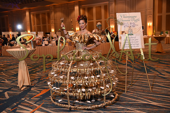 Holy-Family-Gala-2018 1097
