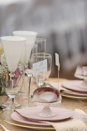harmony-gardens-wedding-styled-shoot 1185