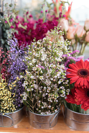 plant-street-flower-cart-february-2021-1 1012final
