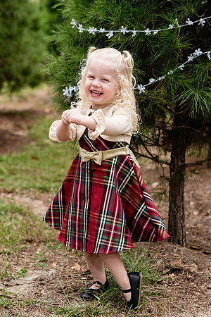 sophias-art-photo-orlando-christmas-mini-sessions-visnich-family 1016-Editfinal
