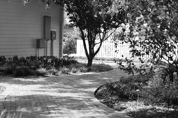 winter-park-farmers-market-wedding-janitza-and-brian-BW2480