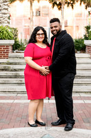 Giselle Maternity 0078