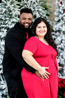 Giselle Maternity 0086