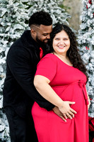 Giselle Maternity 0087