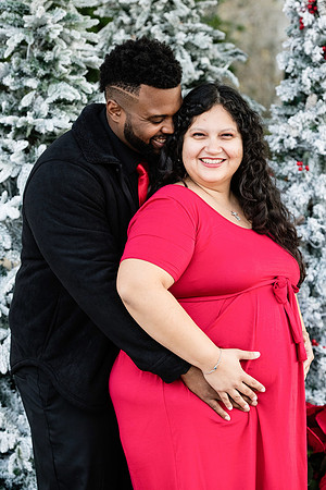Giselle Maternity 0087