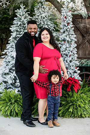 Giselle Maternity 0090