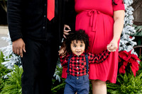 Giselle Maternity 0092