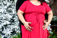 Giselle Maternity 0093