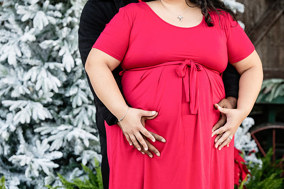 Giselle Maternity 0093