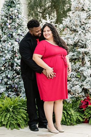 Giselle Maternity 0111
