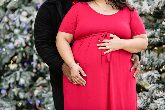 Giselle Maternity 0118