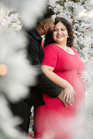 Giselle Maternity 0120
