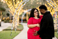 Giselle Maternity