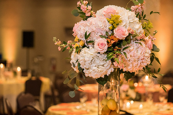 corpus-christi-catholic-church-wedding-ashley-and-jonathan 1113