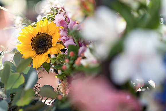Plant-Street-Flower-Cart-April-May-2021-Winter-Garden 1104final