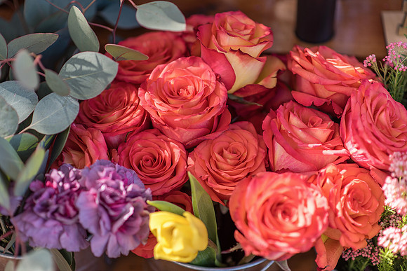 Plant-Street-Flower-Cart-April-May-2021-Winter-Garden 1088final