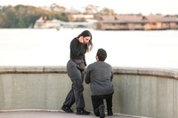 Andres and Tania Proposal 0010