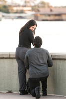 Andres and Tania Proposal 0005