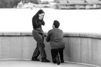 Andres and Tania Proposal 0018