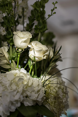 Crystal Ballroom Styled Shoot Final (61 of 177)