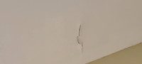 IMG20250104123006