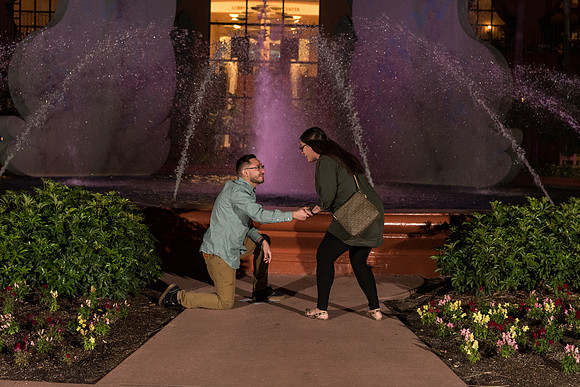 disney-dolphin-and-swan-night-engagement-proposal-melissa-and-andrew 1016
