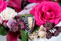 valentines-day-box-plant-street-flower 1005final