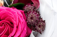 valentines-day-box-plant-street-flower 1013final