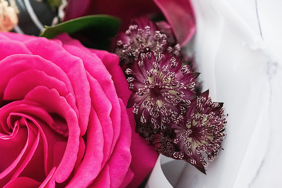 valentines-day-box-plant-street-flower 1013final