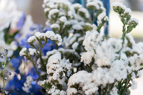 Plant-Street-Flower-Cart-April-May-2021-Winter-Garden 1085final