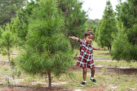 sophias-art-photo-orlando-christmas-mini-sessions-parys-family 1058