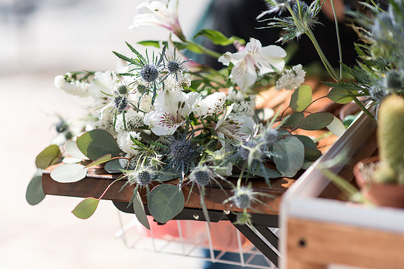 Plant-Street-Flower-Cart-April-May-2021-Winter-Garden 1093final