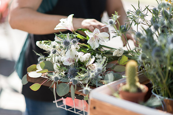 Plant-Street-Flower-Cart-April-May-2021-Winter-Garden 1092final