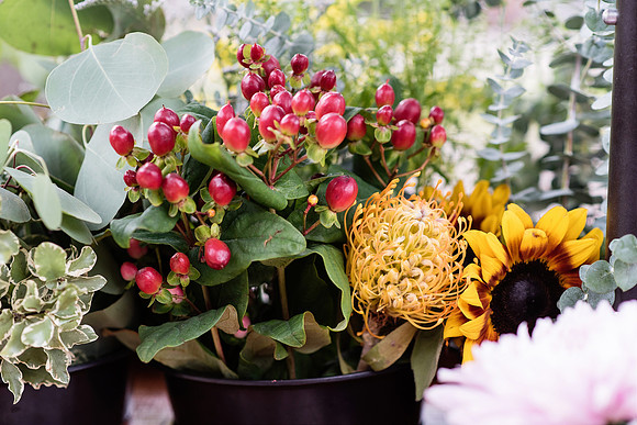 plant-street-flower-cart-nov-dec-2021 1044final