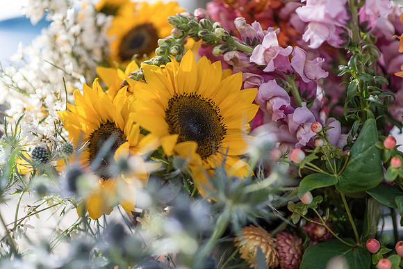Plant-Street-Flower-Cart-April-May-2021-Winter-Garden 1084final