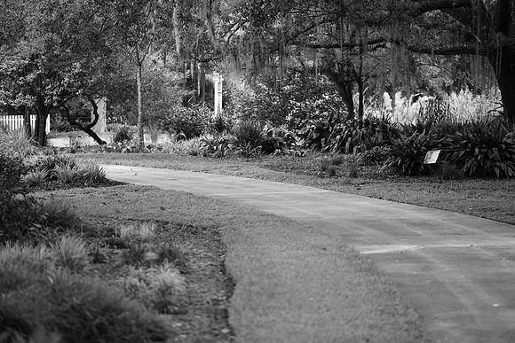winter-park-farmers-market-wedding-janitza-and-brian-BW2479