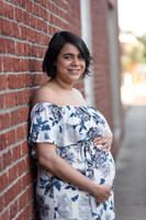 Winter-Garden-Maternity-Session-Taty 10192