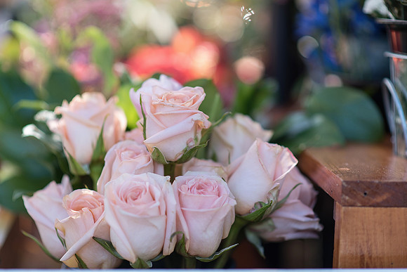 Plant-Street-Flower-Cart-April-May-2021-Winter-Garden 1054final