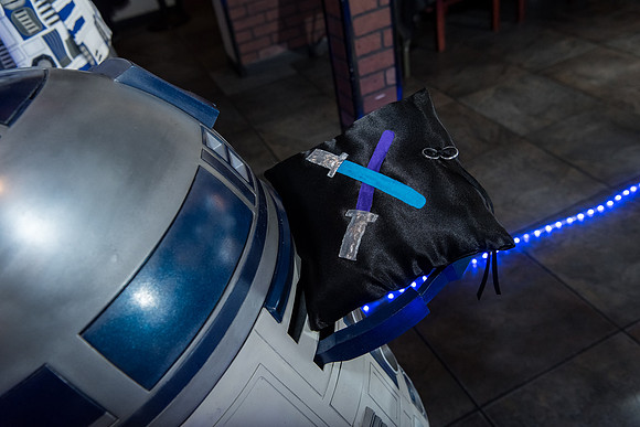 Cloak-and-Blaster-Wedding-Jen-and-Mike 1255