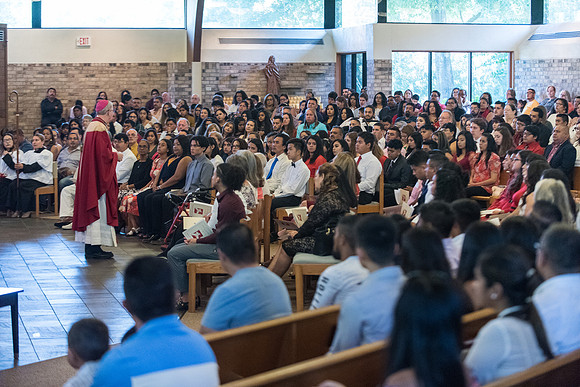 st-francis-of-assisi-confirmation-2019 1236