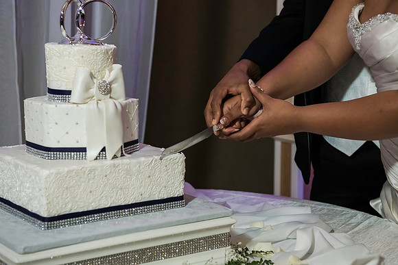 Wilkins Simpson Wedding 01172015 (253)