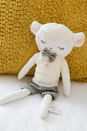 tati-and-moselly-family-session 1022
