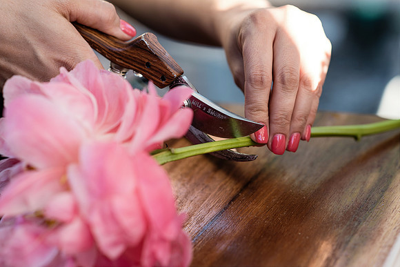 plant-street-flower-cart-branding-photos-mothers-day-weekend 1080final