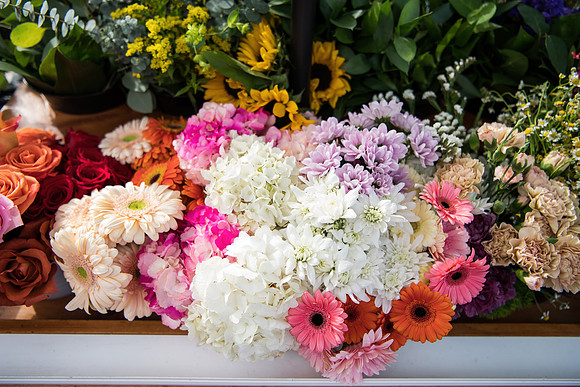 Plant Street Flower Cart February 2023 0001