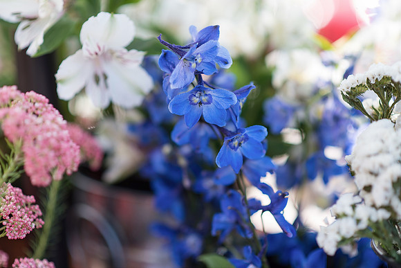 Plant-Street-Flower-Cart-April-May-2021-Winter-Garden 1103final