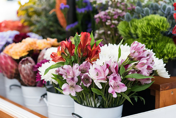 Flower Cart August 2022 0084