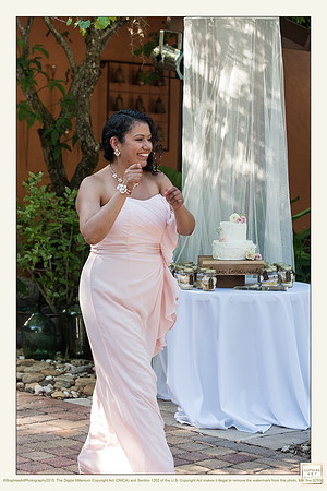 Milly and Rogelio Wedding 4591