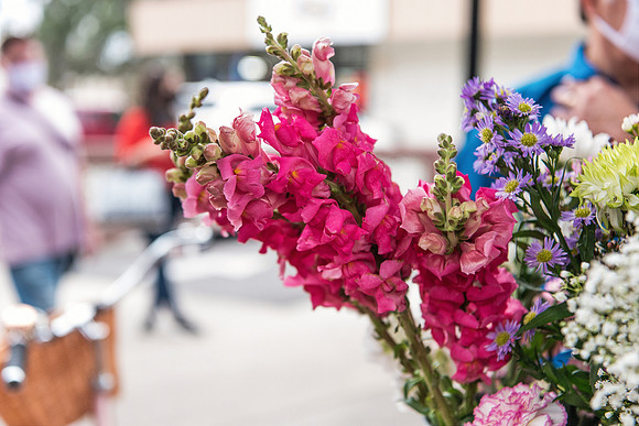 rapunzel-event-plant-street-flower-cart 1000final